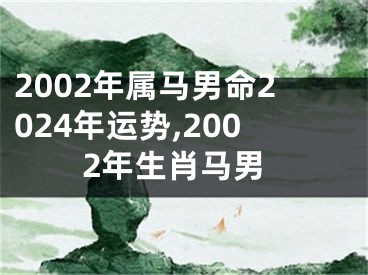 2002年属马男命2024年运势,2002年生肖马男