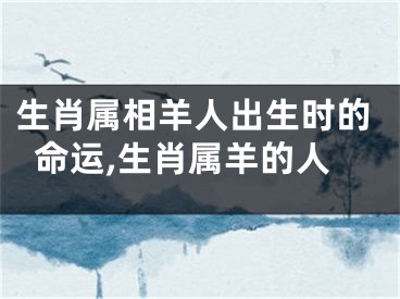 生肖属相羊人出生时的命运,生肖属羊的人