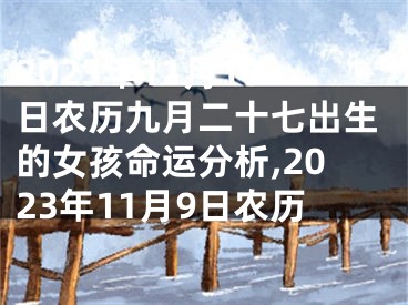 2023年11月10日农历九月二十七出生的女孩命运分析,2023年11月9日农历