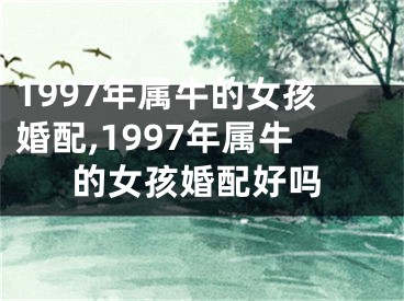 1997年属牛的女孩婚配,1997年属牛的女孩婚配好吗