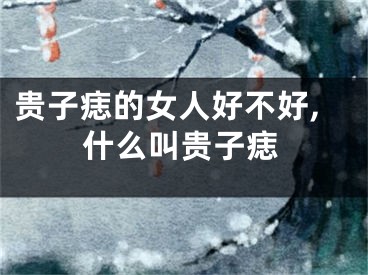 贵子痣的女人好不好,什么叫贵子痣