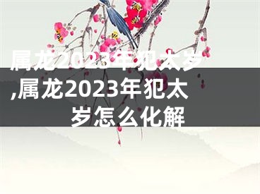 属龙2023年犯太岁,属龙2023年犯太岁怎么化解