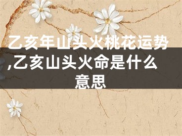 乙亥年山头火桃花运势,乙亥山头火命是什么意思