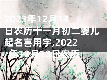 2023年12月14日农历十一月初二婴儿起名喜用字,2022年12月13日农历