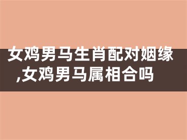 女鸡男马生肖配对姻缘,女鸡男马属相合吗