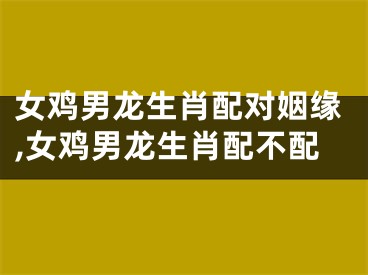 女鸡男龙生肖配对姻缘,女鸡男龙生肖配不配