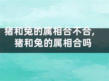 猪和兔的属相合不合,猪和兔的属相合吗