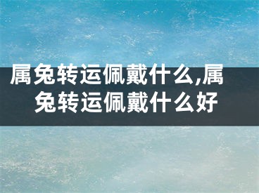 属兔转运佩戴什么,属兔转运佩戴什么好