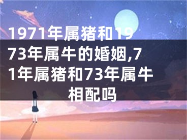 1971年属猪和1973年属牛的婚姻,71年属猪和73年属牛相配吗