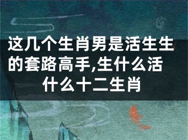 这几个生肖男是活生生的套路高手,生什么活什么十二生肖