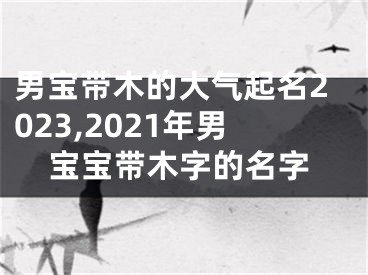 男宝带木的大气起名2023,2021年男宝宝带木字的名字