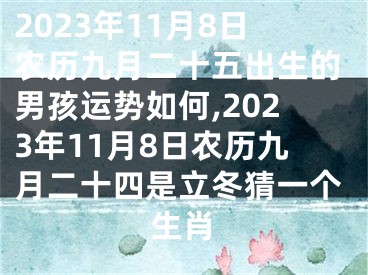 2023年11月8日农历九月二十五出生的男孩运势如何,2023年11月8日农历九月二十四是立冬猜一个生肖