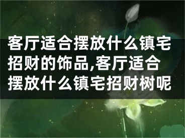 客厅适合摆放什么镇宅招财的饰品,客厅适合摆放什么镇宅招财树呢