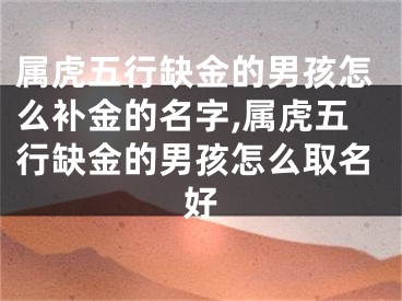 属虎五行缺金的男孩怎么补金的名字,属虎五行缺金的男孩怎么取名好