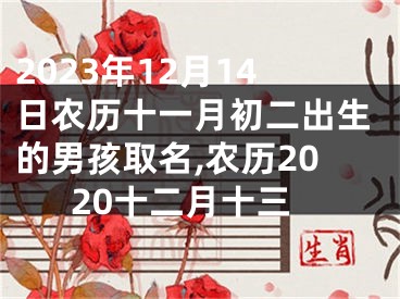 2023年12月14日农历十一月初二出生的男孩取名,农历2020十二月十三