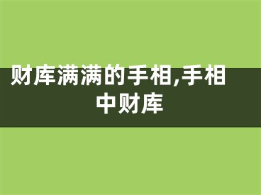 财库满满的手相,手相中财库