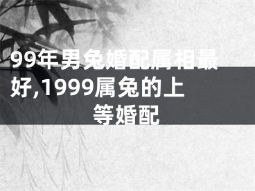 99年男兔婚配属相最好,1999属兔的上等婚配