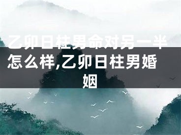 乙卯日柱男命对另一半怎么样,乙卯日柱男婚姻