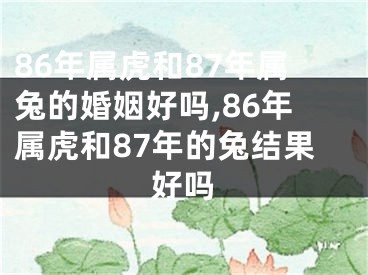 86年属虎和87年属兔的婚姻好吗,86年属虎和87年的兔结果好吗