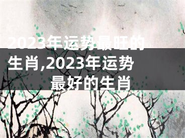 2023年运势最旺的生肖,2023年运势最好的生肖