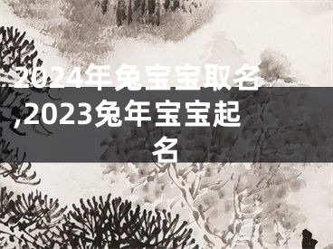 2024年兔宝宝取名,2023兔年宝宝起名