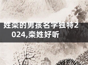 姓栾的男孩名字独特2024,栾姓好听