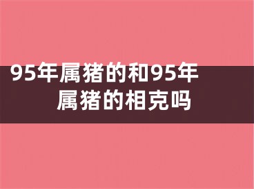 95年属猪的和95年属猪的相克吗