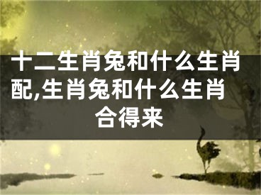 十二生肖兔和什么生肖配,生肖兔和什么生肖合得来