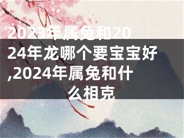 2023年属兔和2024年龙哪个要宝宝好,2024年属兔和什么相克