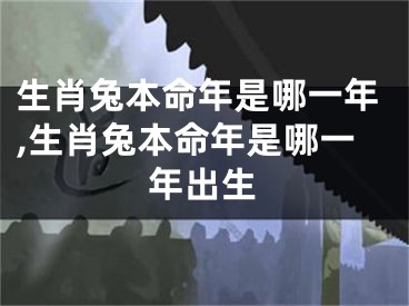 生肖兔本命年是哪一年,生肖兔本命年是哪一年出生