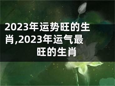 2023年运势旺的生肖,2023年运气最旺的生肖