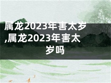 属龙2023年害太岁,属龙2023年害太岁吗