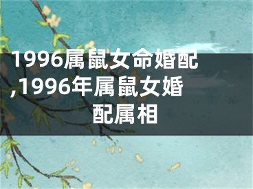 1996属鼠女命婚配,1996年属鼠女婚配属相