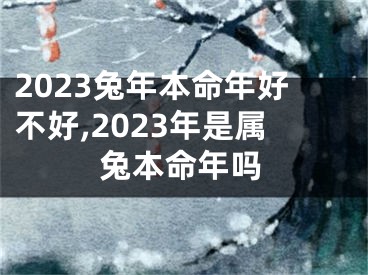 2023兔年本命年好不好,2023年是属兔本命年吗