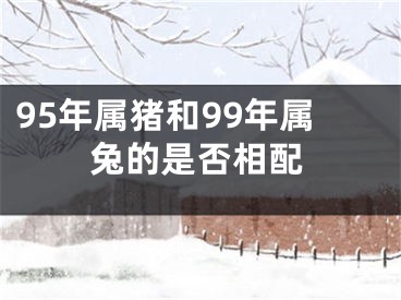 95年属猪和99年属兔的是否相配