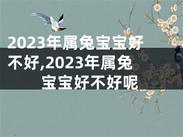 2023年属兔宝宝好不好,2023年属兔宝宝好不好呢