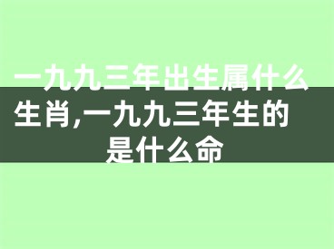 一九九三年出生属什么生肖,一九九三年生的是什么命