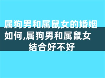 属狗男和属鼠女的婚姻如何,属狗男和属鼠女结合好不好