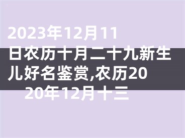 2023年12月11日农历十月二十九新生儿好名鉴赏,农历2020年12月十三