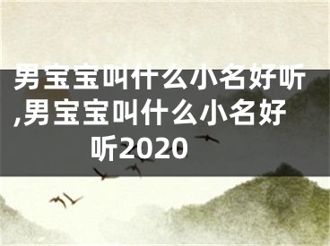 男宝宝叫什么小名好听,男宝宝叫什么小名好听2020