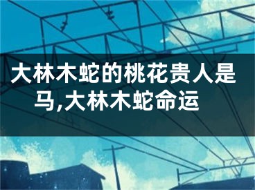 大林木蛇的桃花贵人是马,大林木蛇命运