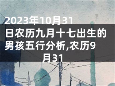 2023年10月31日农历九月十七出生的男孩五行分析,农历9月31