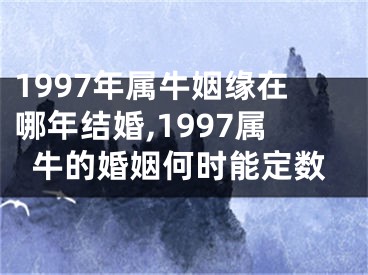 1997年属牛姻缘在哪年结婚,1997属牛的婚姻何时能定数