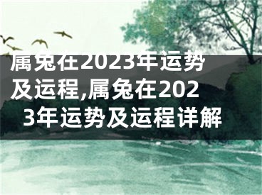 属兔在2023年运势及运程,属兔在2023年运势及运程详解