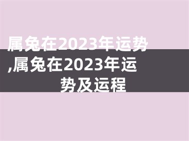 属兔在2023年运势,属兔在2023年运势及运程