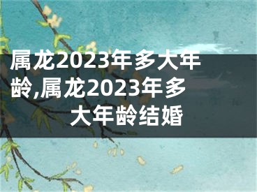 属龙2023年多大年龄,属龙2023年多大年龄结婚