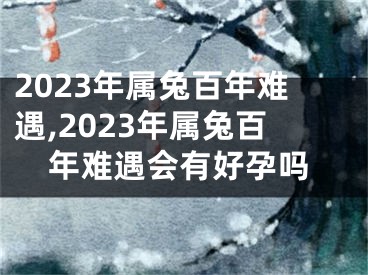 2023年属兔百年难遇,2023年属兔百年难遇会有好孕吗