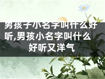 男孩子小名字叫什么好听,男孩小名字叫什么好听又洋气