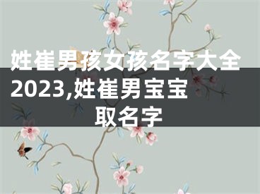 姓崔男孩女孩名字大全2023,姓崔男宝宝取名字