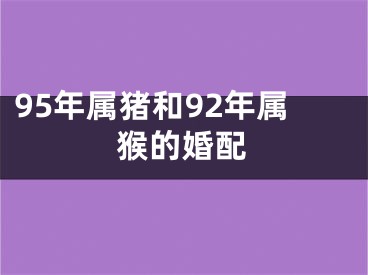 95年属猪和92年属猴的婚配